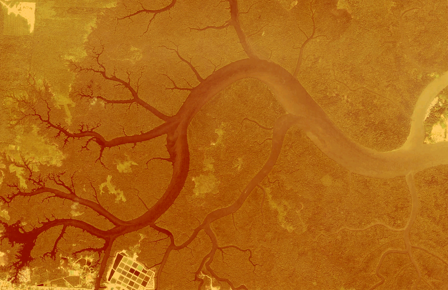 An aerial satellite photograph of a river delta with an orange and brown color filter. The main waterway branches out into dozens of smaller, winding tributaries that resemble the veins of a leaf or the roots of a tree, demonstrating a branching fractal pattern.