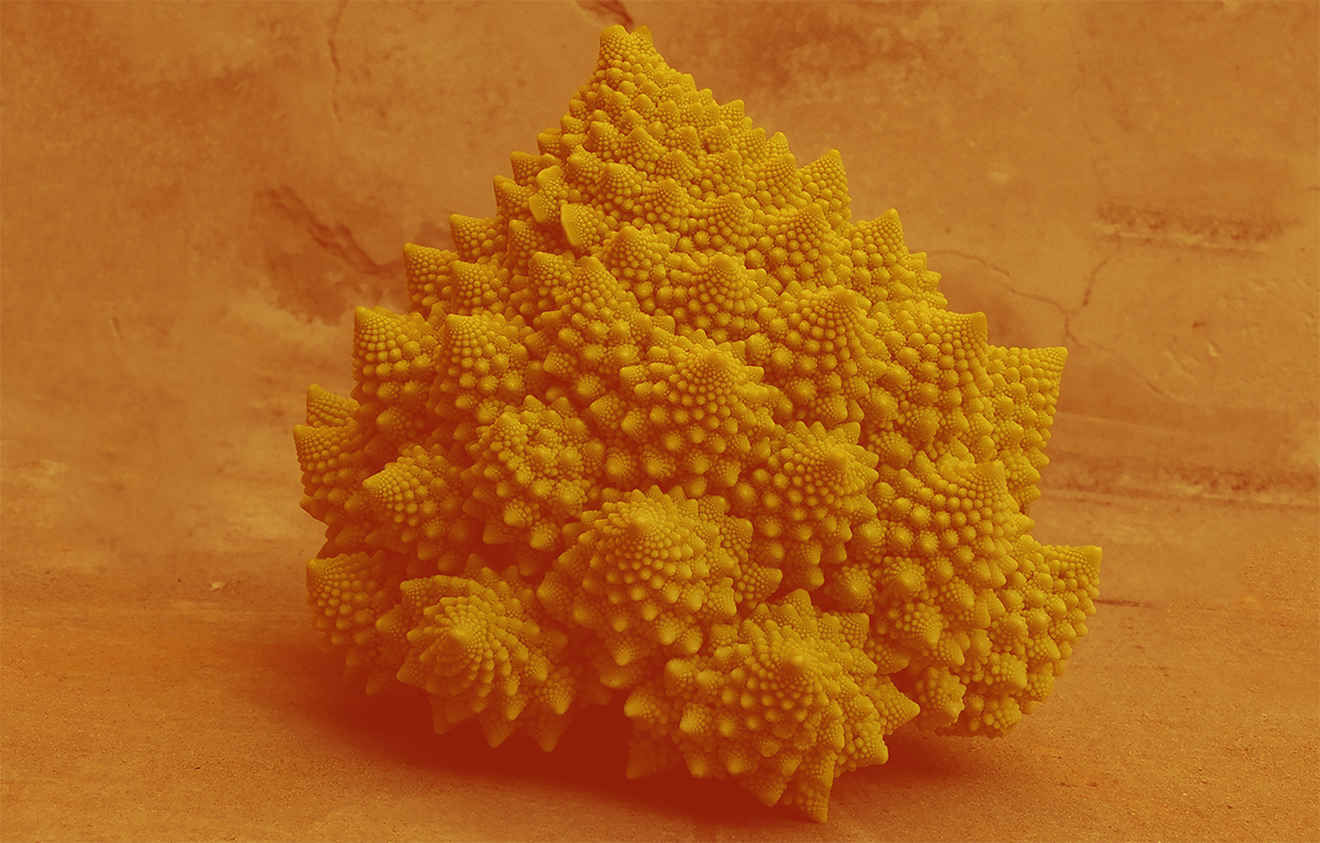 A close-up photograph of a head of Romanesco broccoli with an orange color filter. The image highlights its complex, repeating structure where the vegetable is composed of many smaller, self-similar spiraling cones that mirror the shape of the larger head.