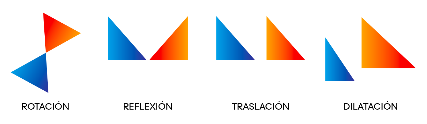 Una serie de cuatro diagramas que ilustran transformaciones matemáticas básicas utilizando triángulos de dos tonos, azul y naranja. Rotación (Rotation): Dos triángulos que se unen en un solo vértice, con uno girado alrededor de ese punto para mirar en la dirección opuesta. Reflexión (Reflection): Dos triángulos idénticos colocados uno al lado del otro como imágenes especulares entre sí. Traslación (Translation): Dos triángulos idénticos uno al lado del otro, que muestran que la forma se ha deslizado a una nueva posición sin girar ni voltearse. Dilatación (Dilation): Dos triángulos con la misma forma pero de diferentes tamaños, demostrando la ampliación o reducción de una figura.