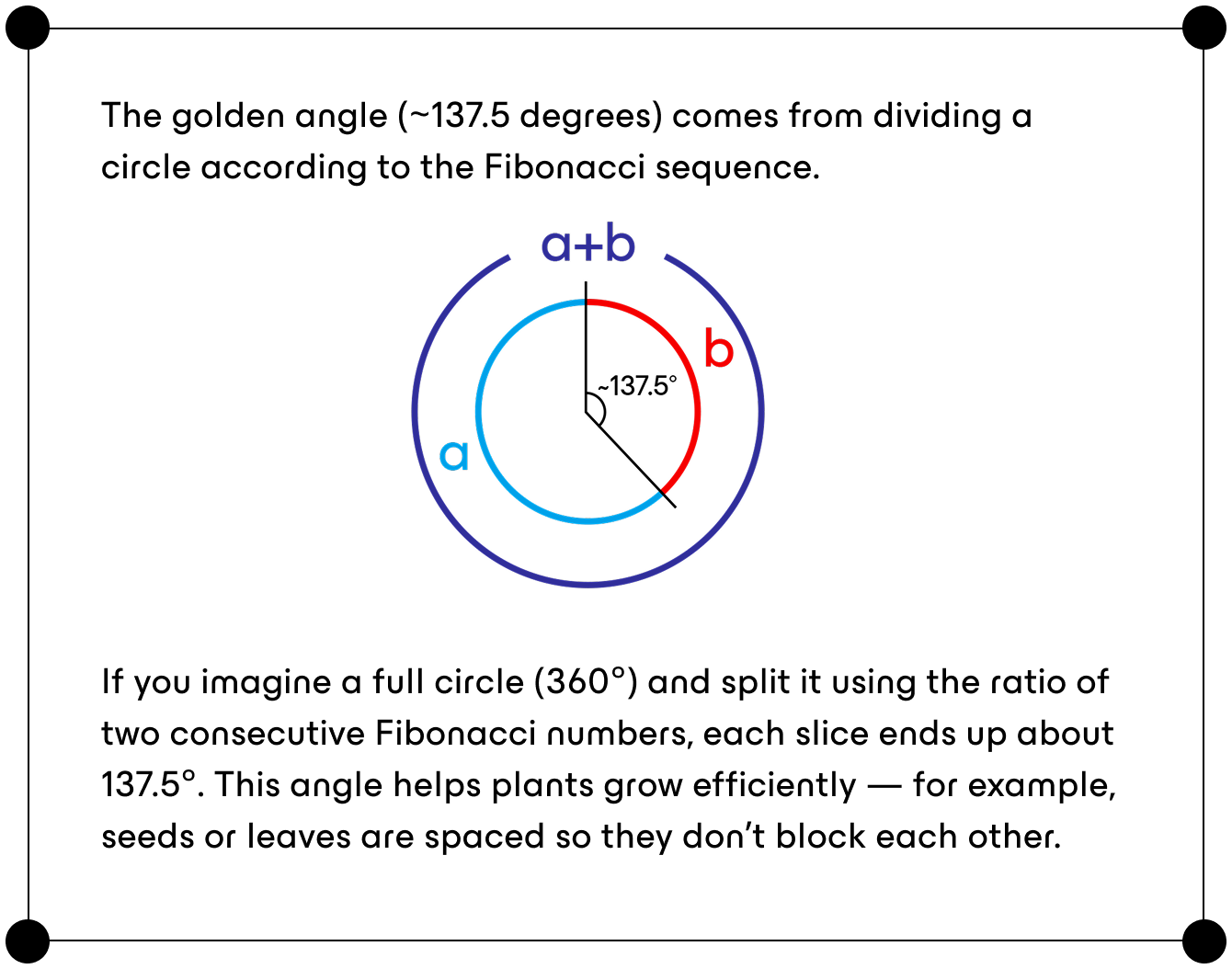 Diagram and text explaining what the golden angle is.