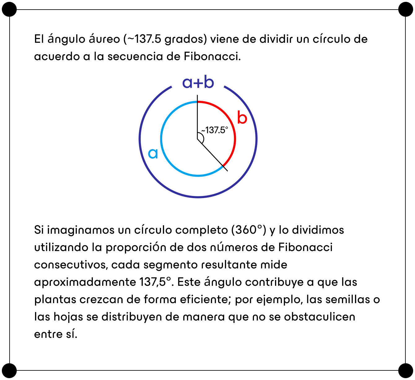 El ángulo áureo (~137.5 grados) viene de dividir un círculo de acuerdo a la secuencia de Fibonacci.